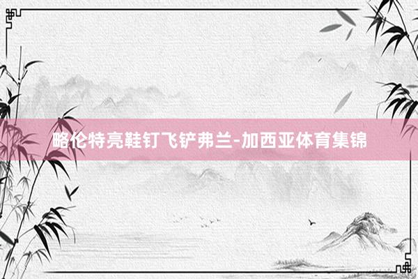 略伦特亮鞋钉飞铲弗兰-加西亚体育集锦