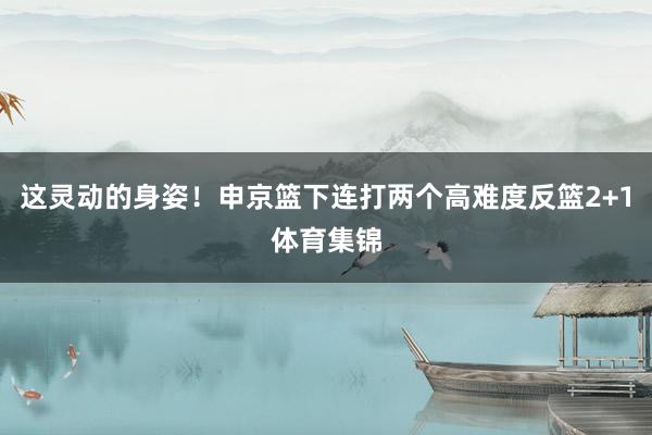 这灵动的身姿！申京篮下连打两个高难度反篮2+1体育集锦