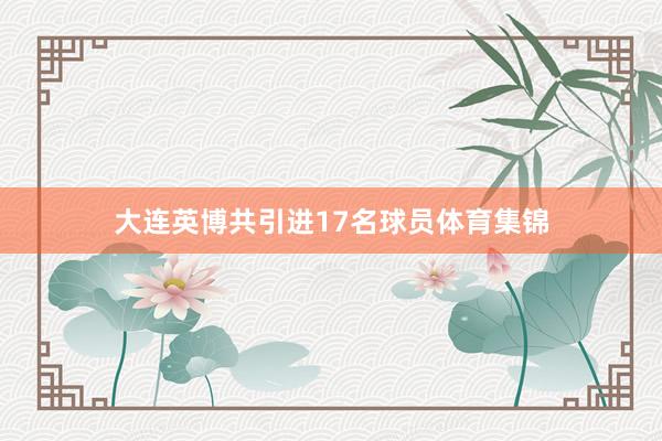 大连英博共引进17名球员体育集锦