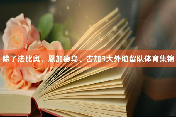 除了法比奥、恩加德乌、古加3大外助留队体育集锦
