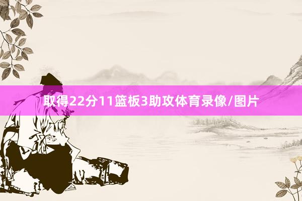 取得22分11篮板3助攻体育录像/图片