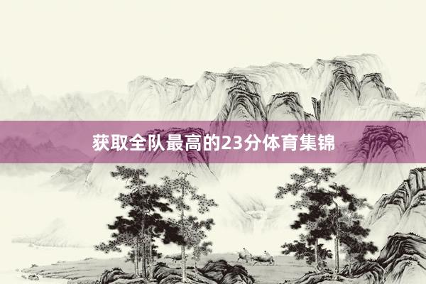 获取全队最高的23分体育集锦