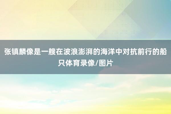 张镇麟像是一艘在波浪澎湃的海洋中对抗前行的船只体育录像/图片
